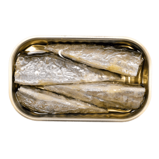 Tin of canned fish on a white background